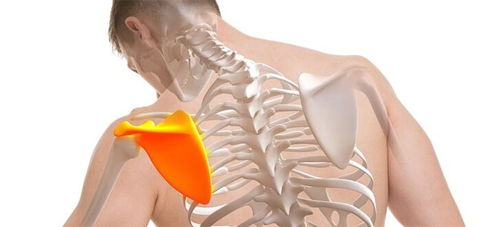 Back pain in the scapular region